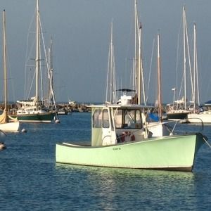 Meet your Posher, Donna